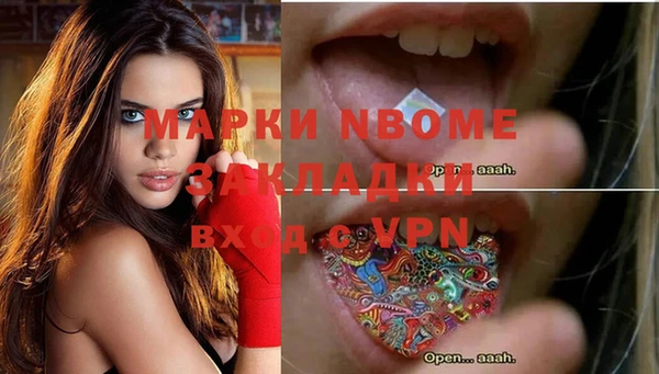 прущий лед Алзамай