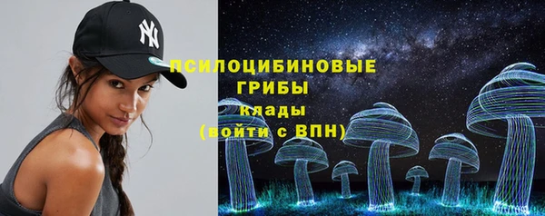 прущий лед Алзамай